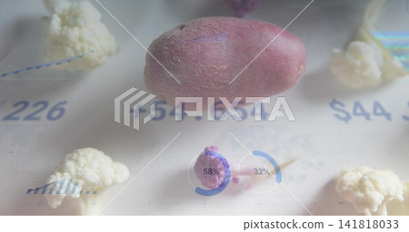 Showing purple potato on white lightbox with florets, data overlays and progress rings 58% 32% $44 Showing purple potato on white lightbox with florets, data overlays and progress rings 58% 32% $44 141818033