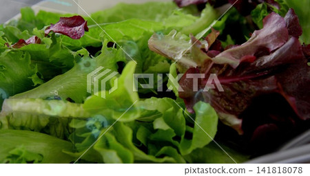 Displaying green and red leaf lettuce glistening with water droplets on countertop, clamshell edge Displaying green and red leaf lettuce glistening with water droplets on countertop, clamshell edge 141818078