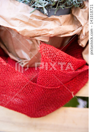 Close up of potted plant wrapped in brown paper with bright red mesh packaging, showing delicate green foliage, textured materials, soft natural light, and handmade gift presentation Close up of potted plant wrapped in brown paper with bright red mesh packaging, showing delicate green foliage, textured materials, soft natural light, and handmade gift presentation 141818721