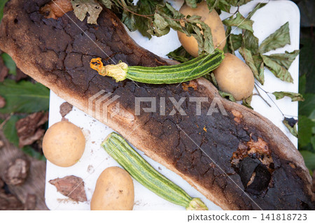 Charred log surrounded by rotten potatoes and wilted zucchini on white tray, top view of spoiled garden produce and decayed organic waste with dark burnt texture, natural debris, and outdoor compost Charred log surrounded by rotten potatoes and wilted zucchini on white tray, top view of spoiled garden produce and decayed organic waste with dark burnt texture, natural debris, and outdoor compost 141818723
