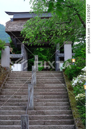 The main gate and stone steps of a traditional Japanese temple surrounded by fresh greenery. 141819087