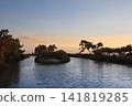 Pine forest and seaside at dusk 141819285