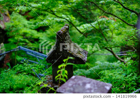苔蘚石塔 苔蘚石塔 141819966