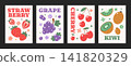 Different variations of poster fruits. Design layout fruits flyer. Strawberry, grape, cherry, kiwi, healthy seasonal fruits. 141820329