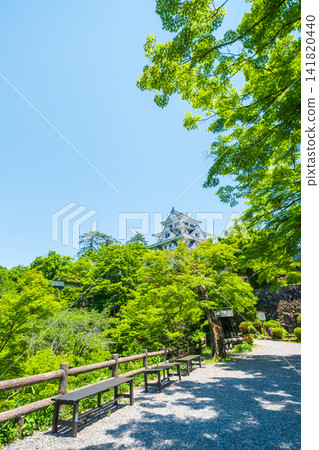 郡上八幡城 郡上八幡城 141820440