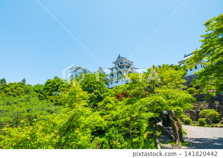 郡上八幡城 郡上八幡城 141820442