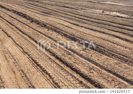 Texture brown yellow clay earth with traces of cars, trucks, tractors. Road with tire tracks. Texture brown yellow clay earth with traces of cars, trucks, tractors. Road with tire tracks. 141820517