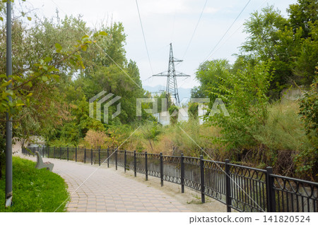 Urban park walkway surrounded by green trees with power lines on peaceful summer day Urban park walkway surrounded by green trees with power lines on peaceful summer day 141820524