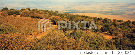 Breathtaking view from mount Menara, North Israel Breathtaking view from mount Menara, North Israel 141821024