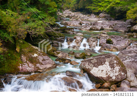 Yakushima Yakusugi Land: Arakawa Valley where gods reside (Spring) Yakushima Yakusugi Land: Arakawa Valley where gods reside (Spring) 141821111