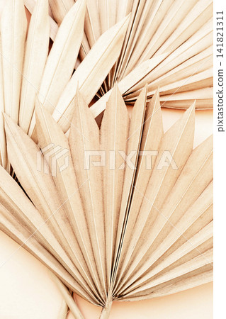 Close-up of dried palm leaves Close-up of dried palm leaves 141821311