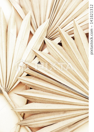 Close-up of dried palm leaves 141821312