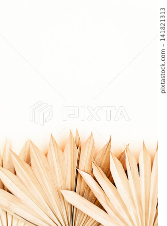 Minimalist close-up of dried palm leaves against a light neutral background Minimalist close-up of dried palm leaves against a light neutral background 141821313