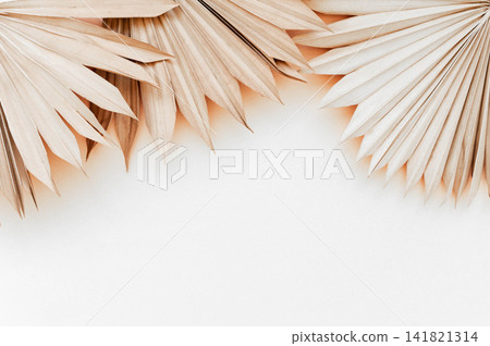 Dried palm leaves against a light neutral background Dried palm leaves against a light neutral background 141821314