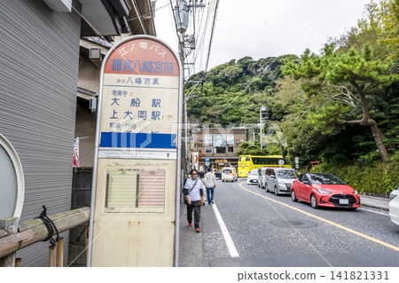 神奈川縣鎌倉市景色，鎌倉之春，鎌倉八幡宮前 141821331