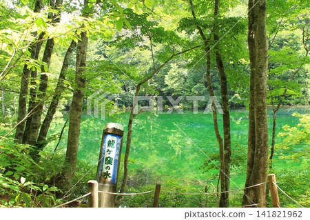 The entrance to the walking trail at Kamaike Pond, located in the mountainous area of Chino City, Nagano Prefecture, surrounded by fresh greenery. The entrance to the walking trail at Kamaike Pond, located in the mountainous area of Chino City, Nagano Prefecture, surrounded by fresh greenery. 141821962