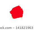 A red rose 141821963