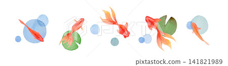 金魚與夏季金魚水彩插畫框 金魚與夏季金魚水彩插畫框 141821989