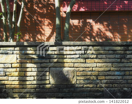The shadow of a tree cast on a brick wall The shadow of a tree cast on a brick wall 141822012