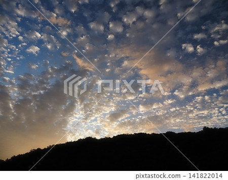 Summer sunrise scenery Summer sunrise scenery 141822014