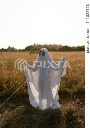 Silhouette of playful ghost raising arms in sunlit field Silhouette of playful ghost raising arms in sunlit field 141822118