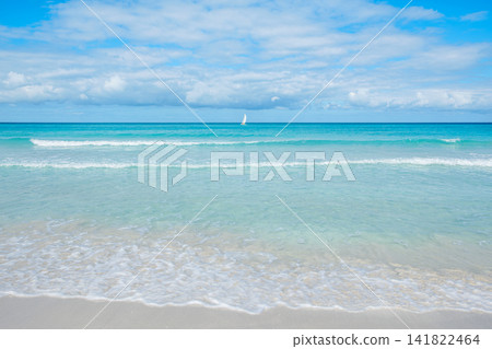Calm ocean waves gently lap on the sandy shore under a bright blue sky Calm ocean waves gently lap on the sandy shore under a bright blue sky 141822464