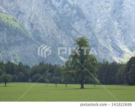 Breathtaking panoramic view of green Logar valley and high alpine mountain peaks in Slovenia 141822686