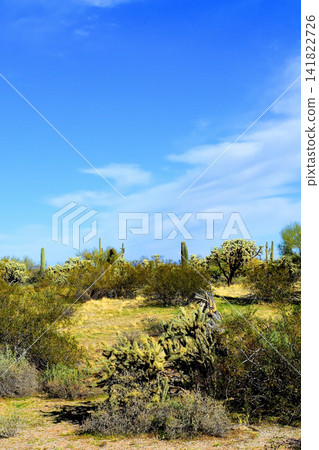 Sonoran Desert Arizona Sonoran Desert Arizona 141822726