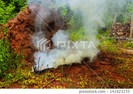 Thick smoke billows up from fire in clearing surrounded by trees plants Thick smoke billows up from fire in clearing surrounded by trees plants 141823235