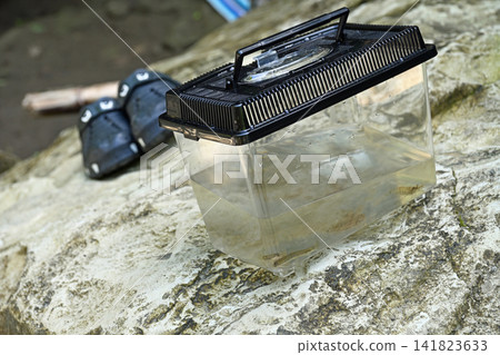 A breeding tank by the river: Observing aquatic life and enjoying a summer family trip in Yoro Valley. A breeding tank by the river: Observing aquatic life and enjoying a summer family trip in Yoro Valley. 141823633