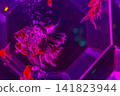 水族館 141823944