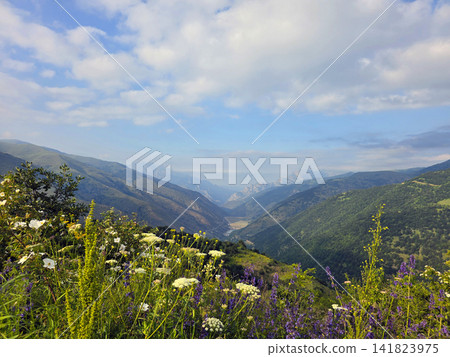 Valley landscape with wildflowers, mountains, and cloudy sky Valley landscape with wildflowers, mountains, and cloudy sky 141823975