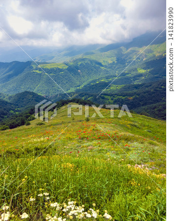 Mountain meadow with colorful wildflowers, rolling hills, and cloudy sky Mountain meadow with colorful wildflowers, rolling hills, and cloudy sky 141823990