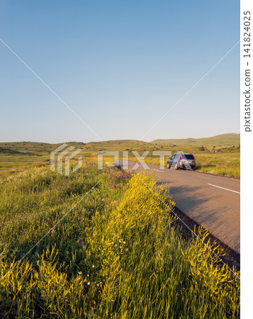 Vehicle on asphalt road surrounded by bright yellow wildflowers Vehicle on asphalt road surrounded by bright yellow wildflowers 141824025