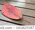A piece of fallen leaves 141825587