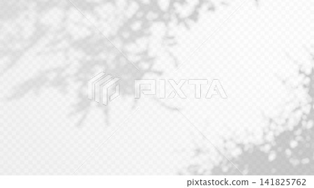 Abstract gobo leaf shadow overlay on transparent background. Soft blurred foliage silhouette with organic botanical texture. Abstract gobo leaf shadow overlay on transparent background. Soft blurred foliage silhouette with organic botanical texture. 141825762