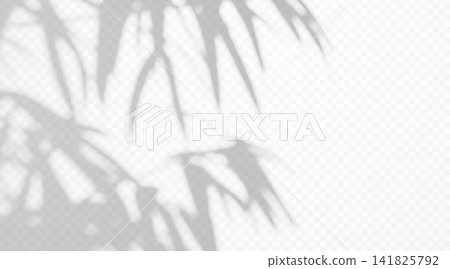 Abstract gobo tropical leaf shadow overlay isolated on transparent background. Soft blurred botanical silhouette with natural sunlight effect. Abstract gobo tropical leaf shadow overlay isolated on transparent background. Soft blurred botanical silhouette with natural sunlight effect. 141825792