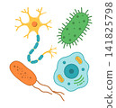Biology Cells and Microorganisms Collection with Neuron and Bacteria 141825798