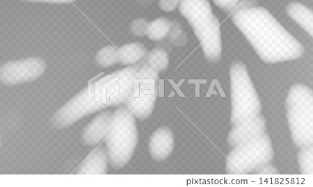 Abstract shadow overlay isolated on transparent background. Dappled light texture on wall surface with soft diffused effect Abstract shadow overlay isolated on transparent background. Dappled light texture on wall surface with soft diffused effect 141825812