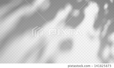 Abstract foliage shadow overlay isolated on transparent background. Tree branch gobo effect with soft diffused silhouette. 141825873