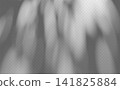 Abstract foliage shadow overlay isolated on transparent background. Tree branch gobo effect with soft diffused silhouette. 141825884