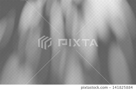 Abstract foliage shadow overlay isolated on transparent background. Tree branch gobo effect with soft diffused silhouette. Abstract foliage shadow overlay isolated on transparent background. Tree branch gobo effect with soft diffused silhouette. 141825884