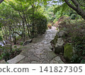 A quiet stone-paved path and moss-covered rocks bathed in dappled sunlight in a Japanese garden. 141827305