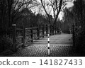 Wooden Bridge in Park Landscape in Black and White 141827433