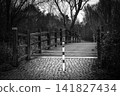 Wooden Bridge in Park Landscape in Black and White 141827434