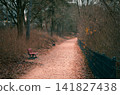 Autumn Park Path with Empty Benches and Fallen Leaves 141827438