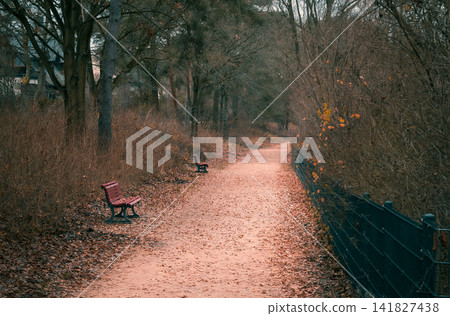 Autumn Park Path with Empty Benches and Fallen Leaves Autumn Park Path with Empty Benches and Fallen Leaves 141827438