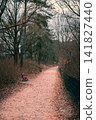 Autumn Park Path with Empty Benches and Fallen Leaves 141827440