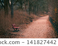 Autumn Park Path with Empty Benches and Fallen Leaves 141827442