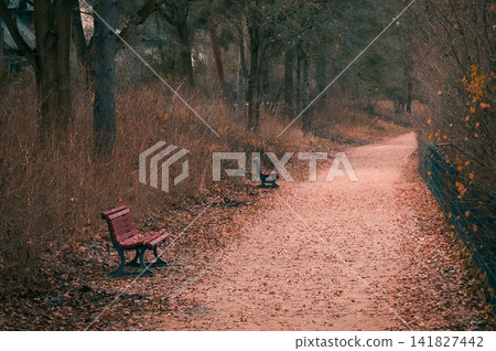 Autumn Park Path with Empty Benches and Fallen Leaves Autumn Park Path with Empty Benches and Fallen Leaves 141827442